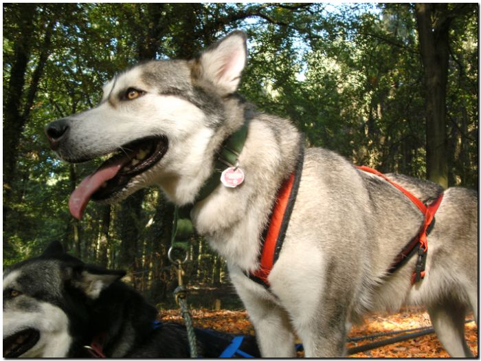 Tour Odenwald 092.jpg